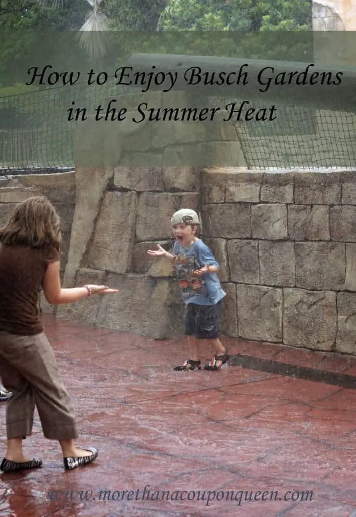 How to Enjoy Busch Gardens in the Summer Heat - #Travel #BuschGardens #Tampa #SummerFun 
