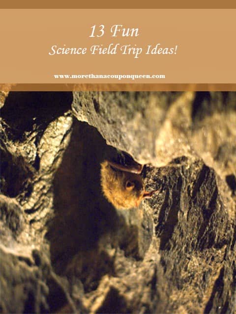 Science Field Trip Ideas