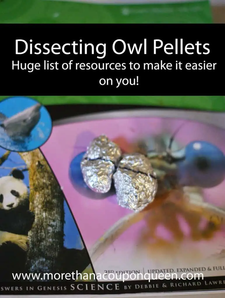 Dissecting Owl Pellets - Huge List of resources to make it easier on you - Geeky Educational Link Up Week 38 