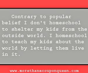 10 homeschoolers wish they could say