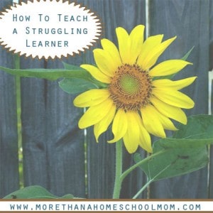 How to Teach a Struggling Learner