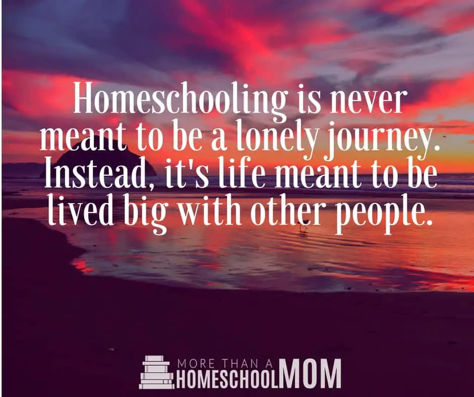 Homeschooling is never meant to be a lonely journey. Instead, it's life meant to be lived big with other people. - #homeschool #homeschooling #homeschooled #education #edchat #quote #quotes 