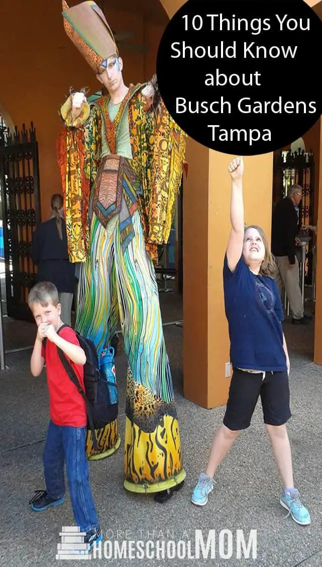 10 Things You Should Know about Busch Gardens Tampa