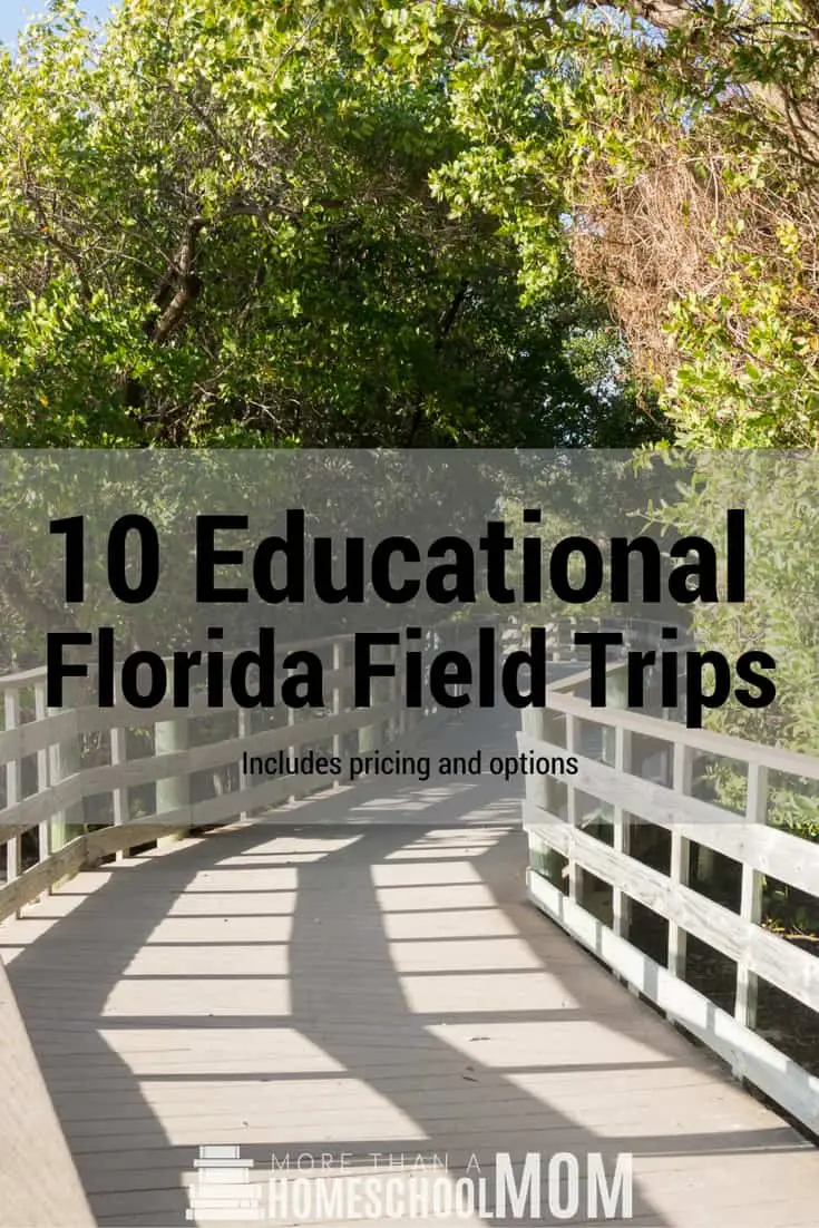 10 Educational Florida Field Trips