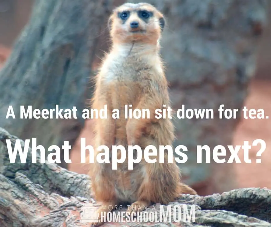 A Meerkat and a lion sit down for dinner