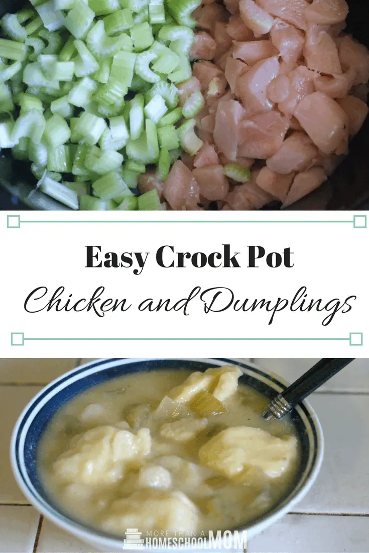 Easy Crock Pot Chicken and Dumplings Recipe