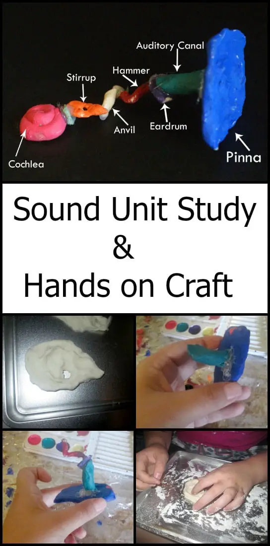 Sound Unit Study and Resources - Tons of great hands on learning ideas in this unit study!
