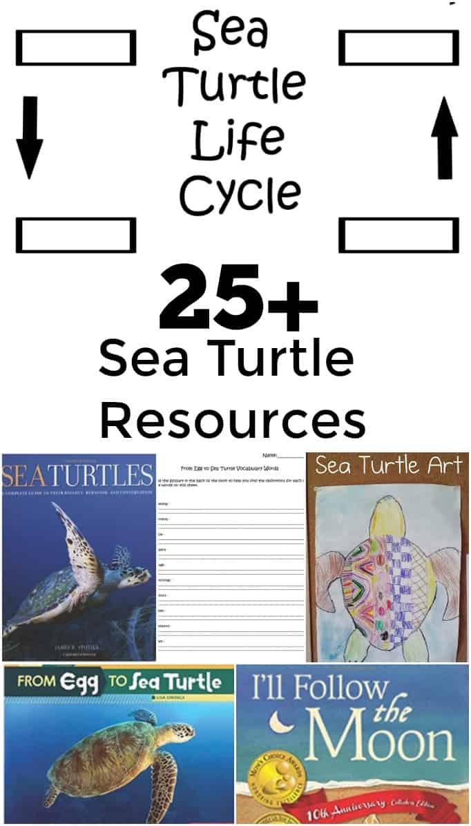 25 Plus Sea Turtle Resources - Includes crafts, books, websites, videos, and more!