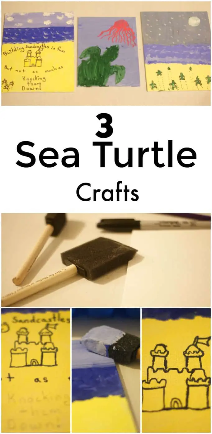 3 Sea Turtle Crafts - Great for a lesson on sea turtles! 