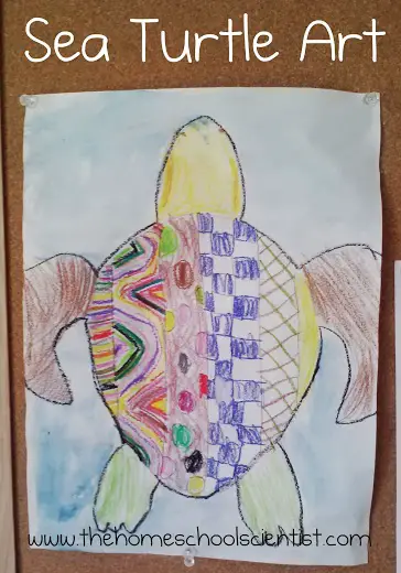 Sea Turtle Art from The Homeschool Scientist