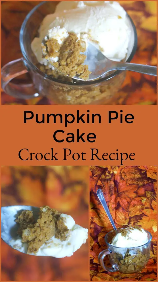 Pumpkin Pie Cake Crock Pot Recipe - All the amazing flavors of a pumpkin pie with the texture and ease of a cake. This recipe is INCREDIBLE! It's also a really easy crock pot recipe. #recipe #dessertrecipe #pumpkinrecipe #pumpkin #dessert 