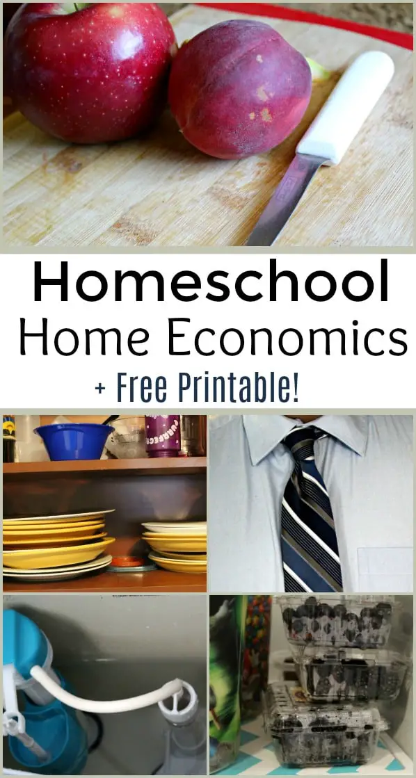 Homeschool Home Economics - #homeschool #freeprintable #edchat #homeEc