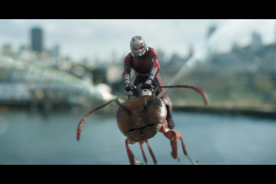 Is Ant Man and the Wasp appropriate for kids? 