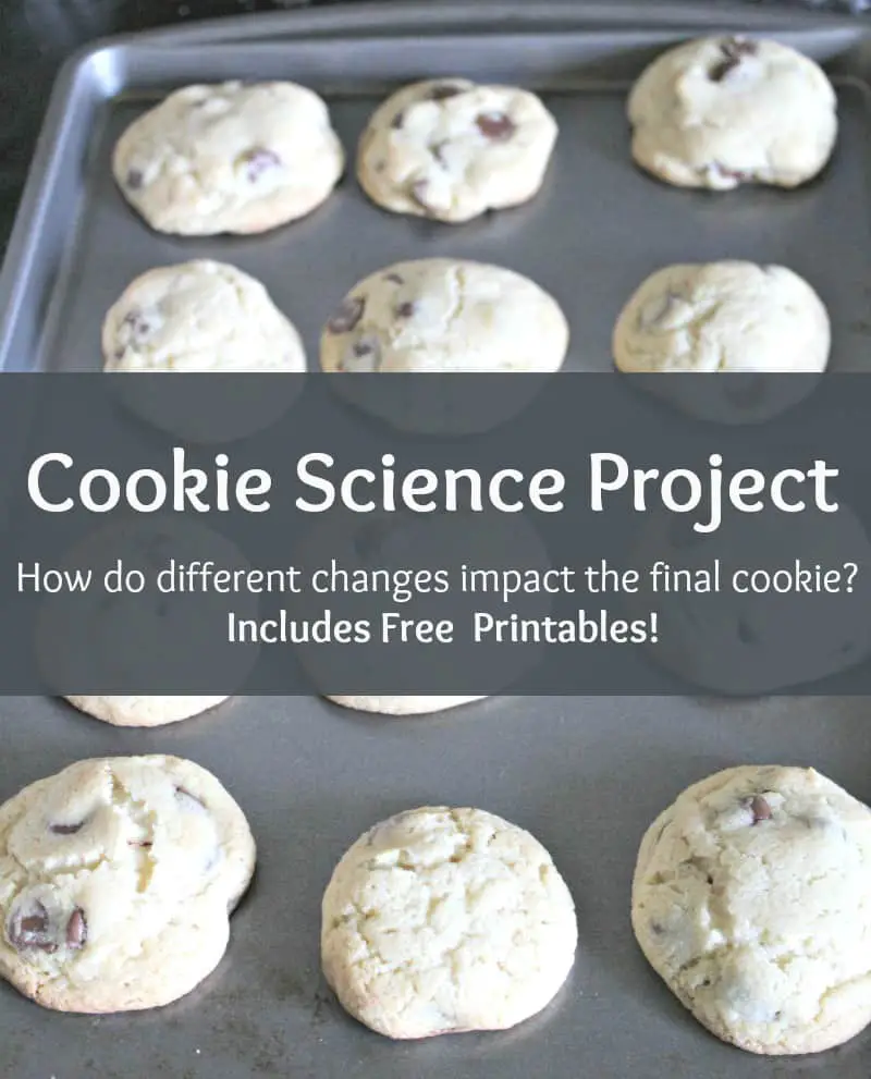Cookie Science Project - #Stem #Science #Experiment #edchat #homeschool #education