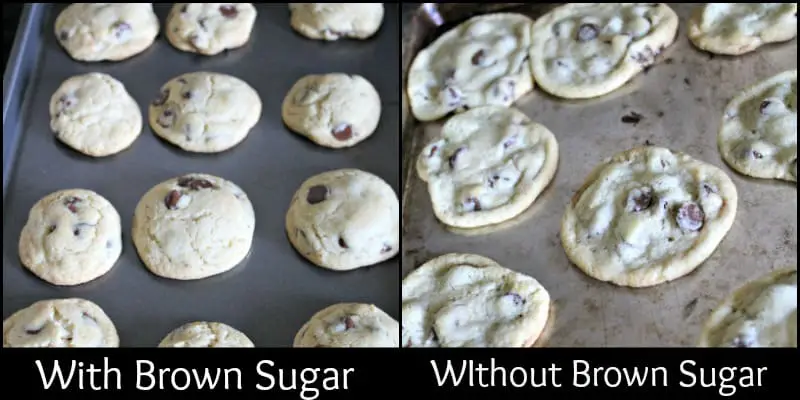 cookie science project