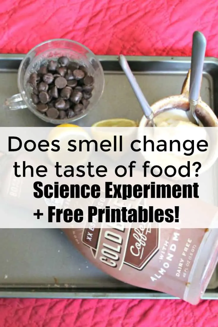 Smell Science Experiment