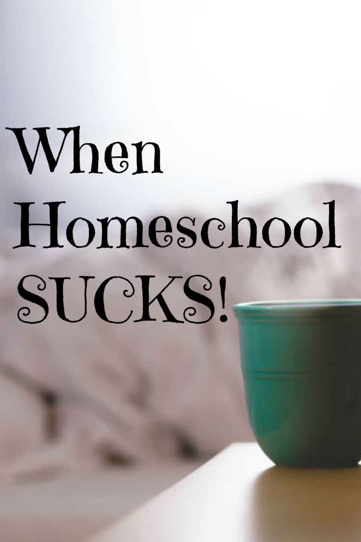 When Homeschool Sucks - Real tips for the not so perfect homeschool days and some honest homeschool encouragement. 