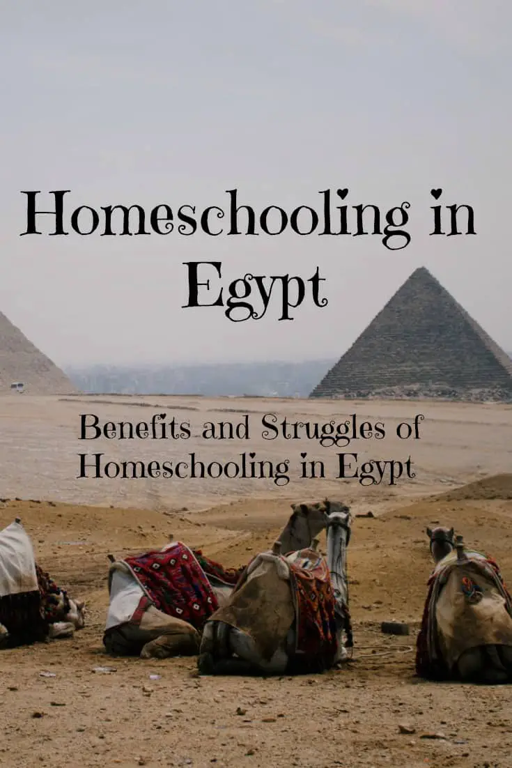 Homeschooling in Egypt