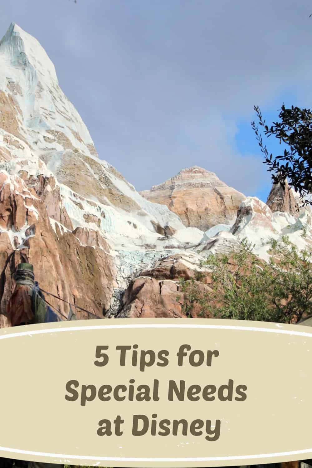 5 Tips for Special Needs at Disney - Avoid a bad Disney day with special needs with these tips. 