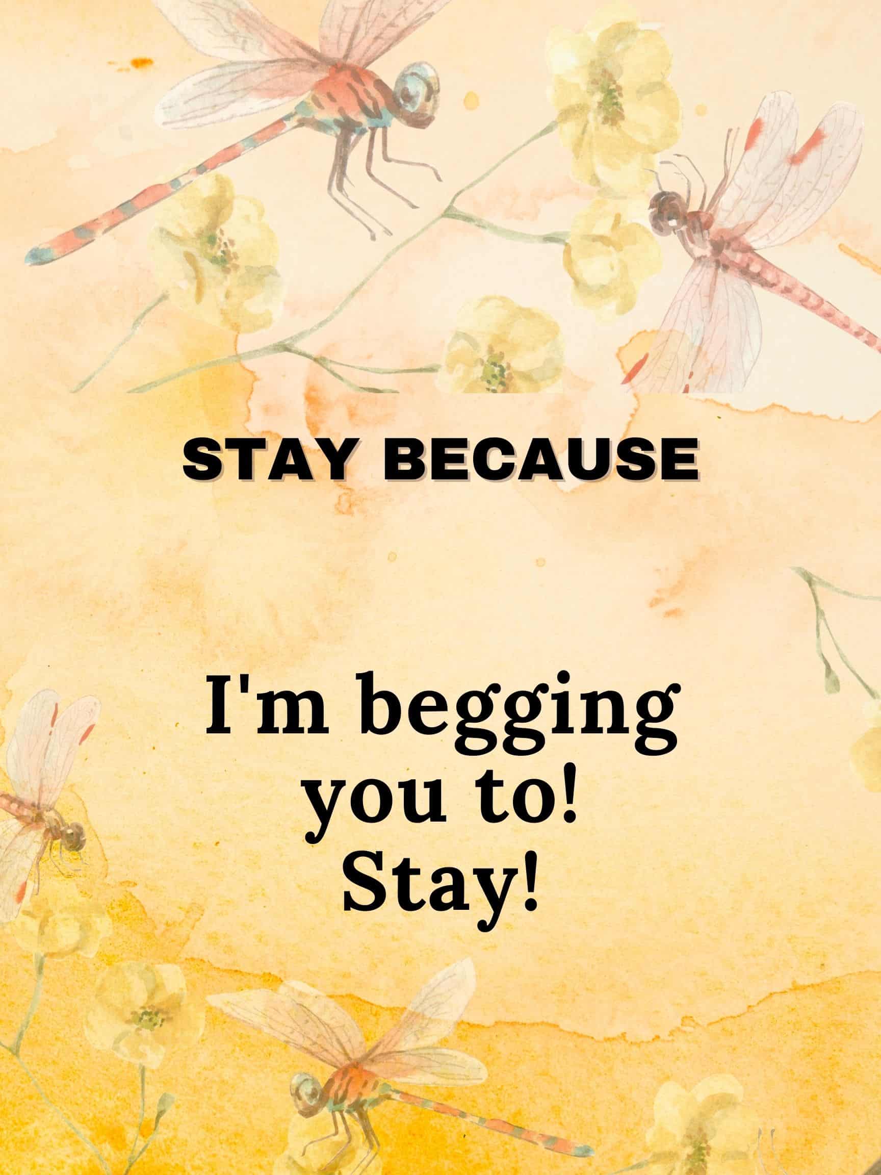 Stay because I'm begging you to stay. #StayBecause
