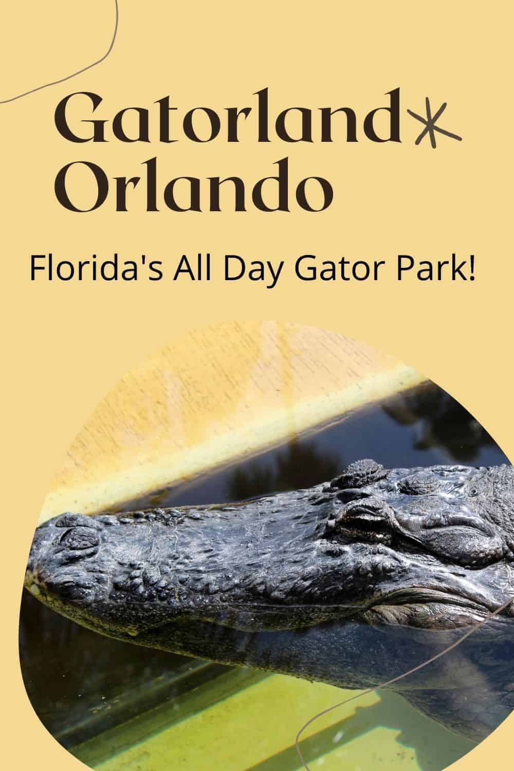 Gatorland Orlando - Orlando's All day alligator attraction complete with alligator feeding, zip lining over an alligator enclosure, and over 3000 alligators! 