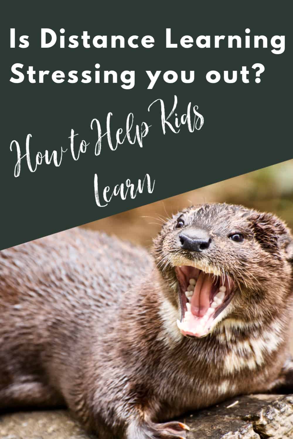 How to Help Kids Learn - Don't let distance learning stress you out with these simple tips to help kids learn.