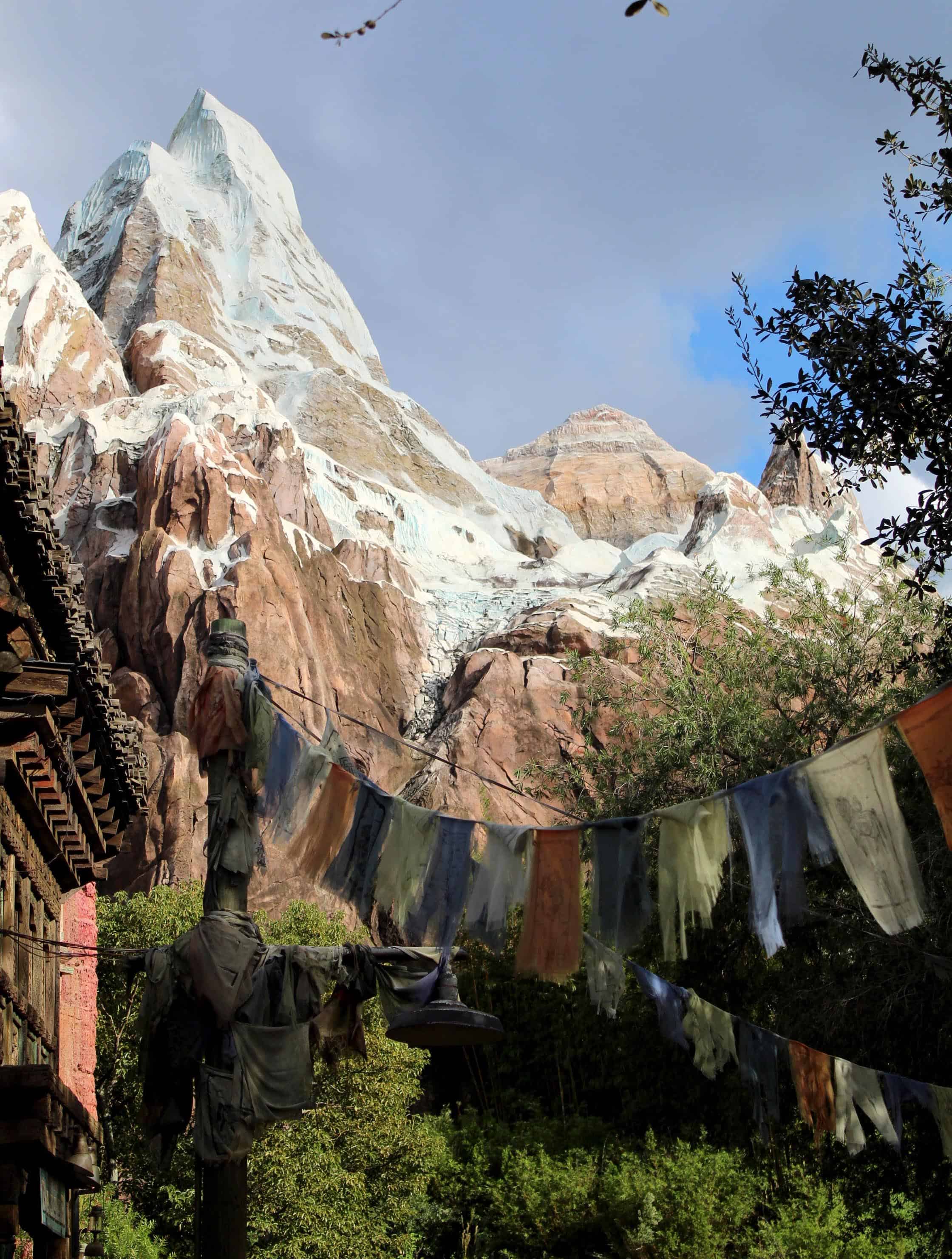 Holidays at Disney's Animal Kingdom Everest