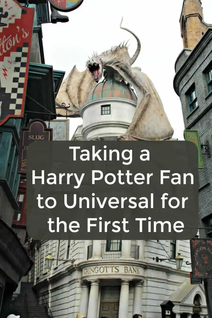 Taking a Harry Potter Fan to Universal Studios
