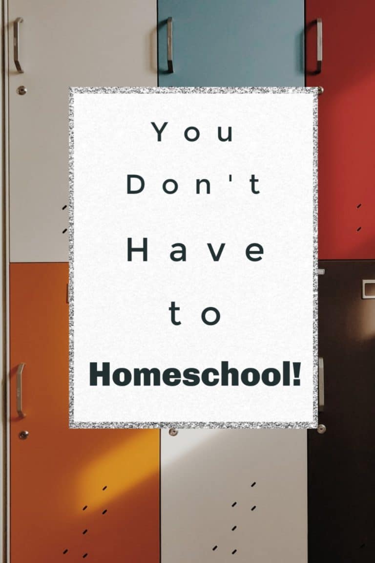 You Don’t Have to Homeschool