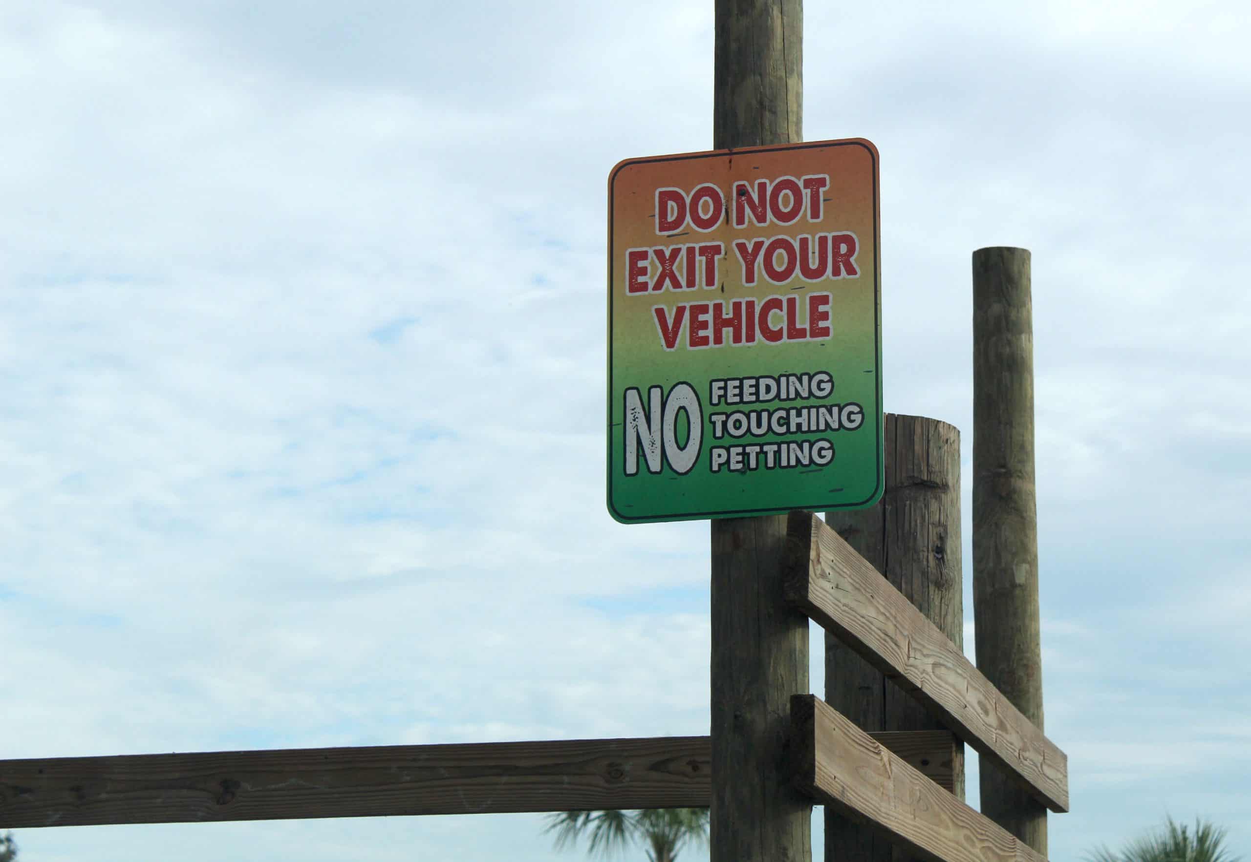 Wild Florida Safari Rules