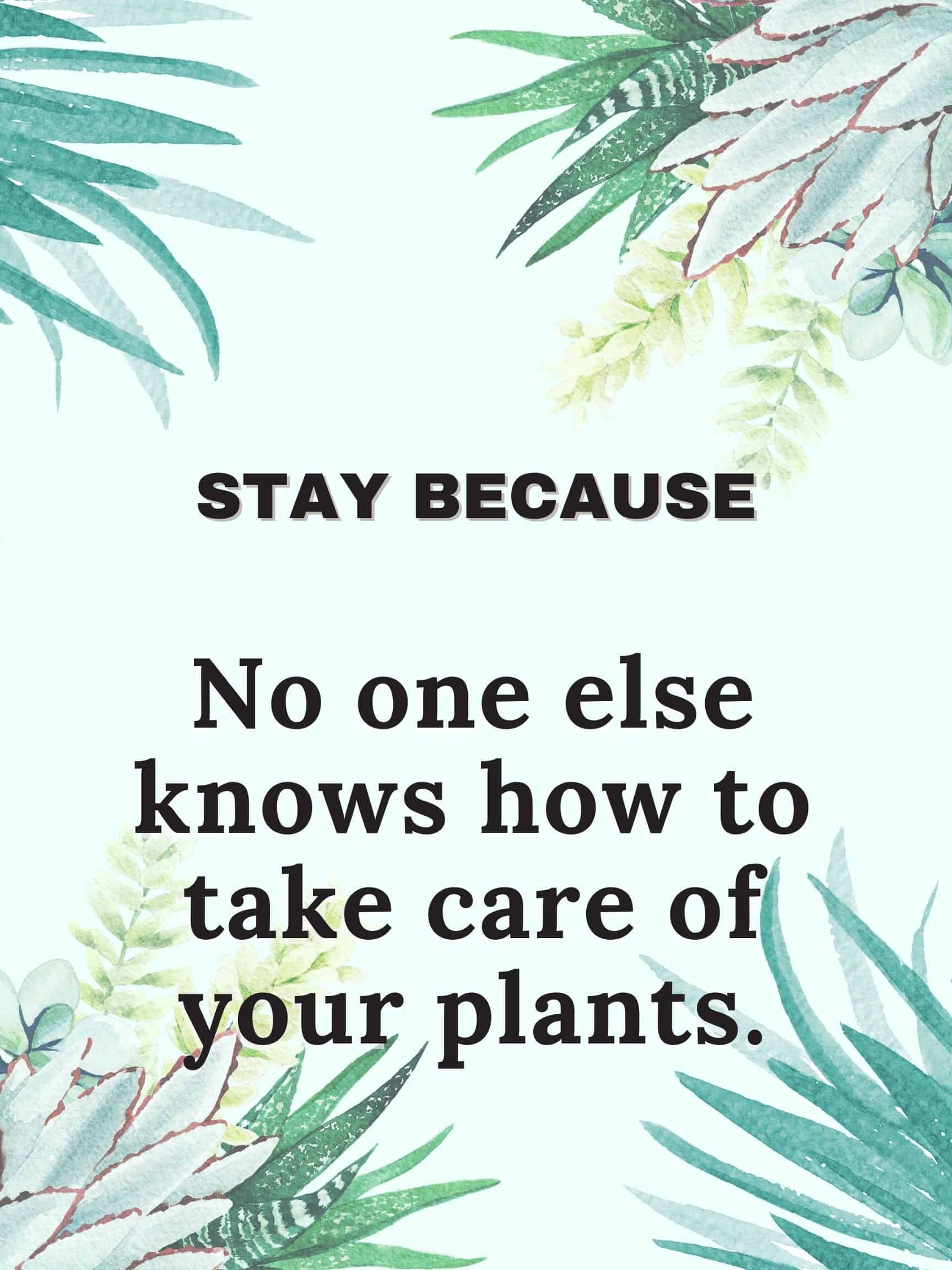 Stay because no one else knows how to take care of your plants. #staybecause